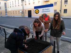 A Debreceni Hospice Ház Alapítvány NEFELEJTS KÖZÖSSÉGet épít